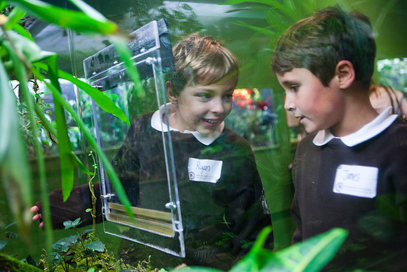 aquarium_ls_mkras_2359