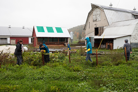 randolphvt1819_trip02_goatfarm_bdf_6247