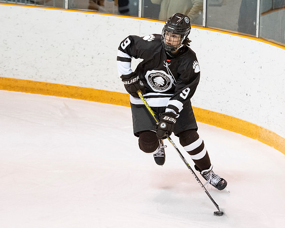 hockey_2022-02-02_dburns1_4426