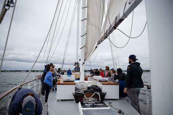 marinebio_soundwater_us_mkras_0239