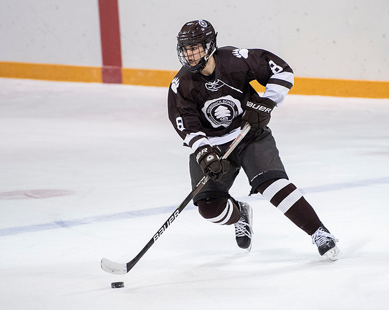 hockey_2022-02-02_dburns1_4501