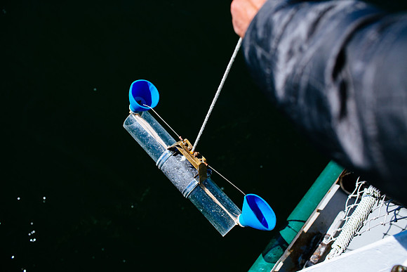 marinebio_soundwaters_jk_7601