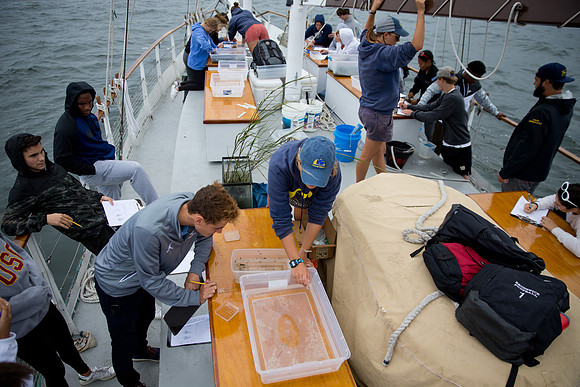 marinebio_soundwater_us_mkras_0276