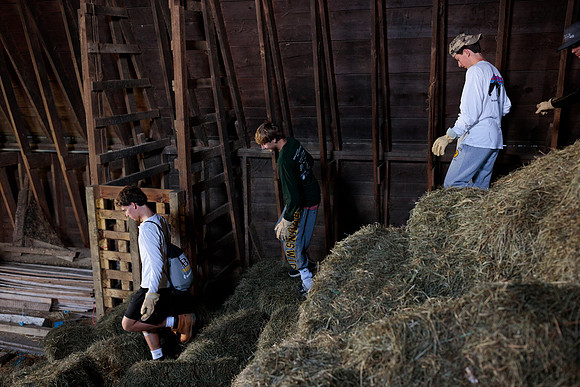 randolphvt1819_trip01_goatfarm_bdf_2242