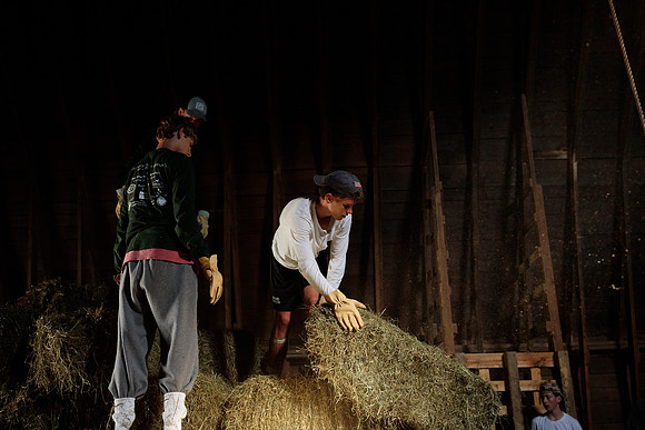 randolphvt1819_trip01_goatfarm_bdf_2393