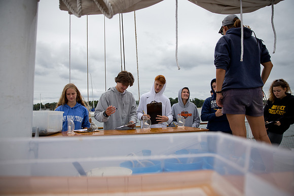 marinebio_soundwater_us_mkras_0365
