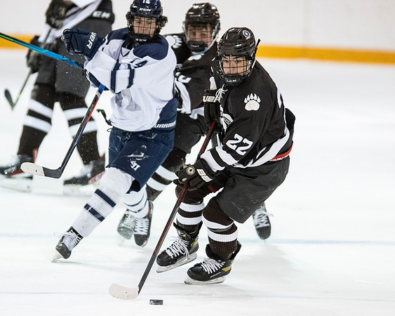 hockey_2022-01-15_dburns2_5299
