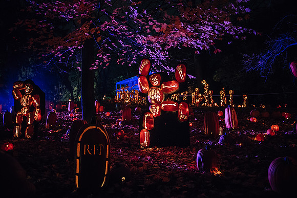pumpkinblaze17_hp_3788