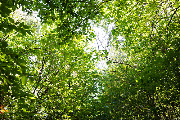 randolphvt2122_trip01_hike_bdf_4680