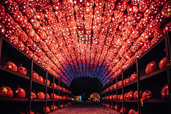 pumpkinblaze17_hp_3706