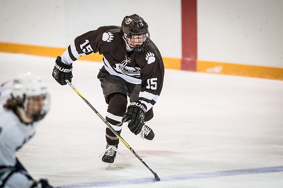 hockey_2018-01-27_wkl_8283