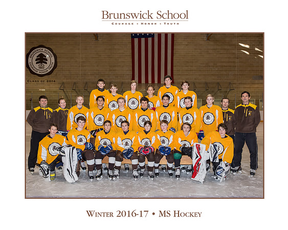 team_winter1617_hockey_ms