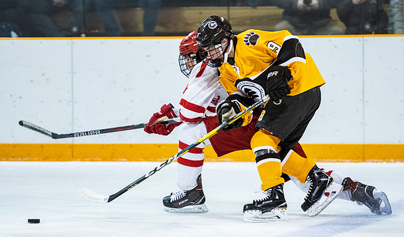 hockey_2019-01-12_dburns_4374