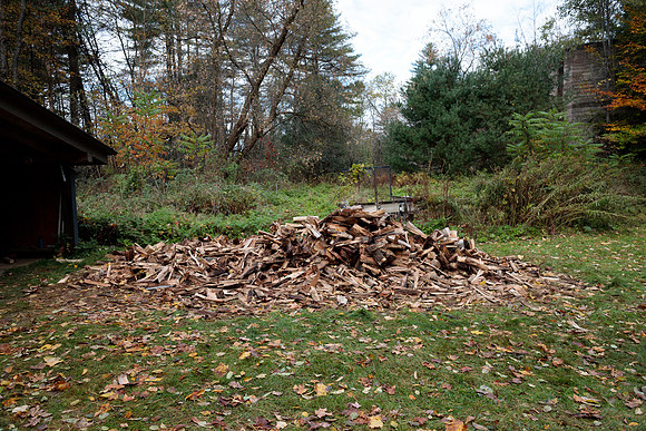 randolphvt1819_trip03_woodstack_bdf_0892