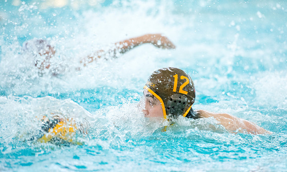 waterpolo_dburns_8688