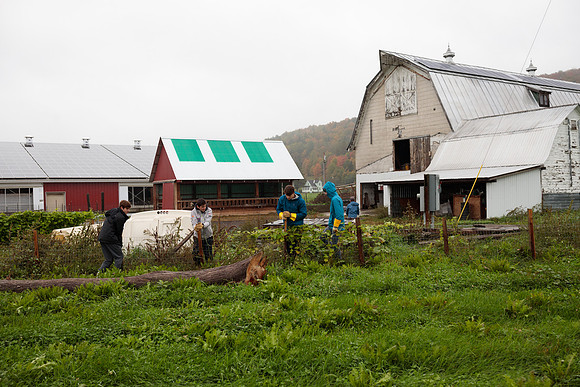 randolphvt1819_trip02_goatfarm_bdf_6252