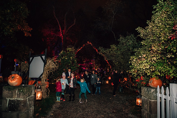 pumpkinblaze17_hp_3502