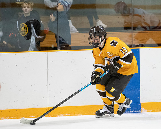 hockey_2019-01-12_dburns_4673