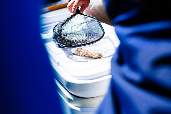 marinebio_soundwaters_jk_7983