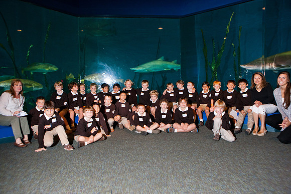 aquarium_ls_mkras_2308