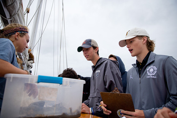 marinebio_soundwater_us_mkras_0074