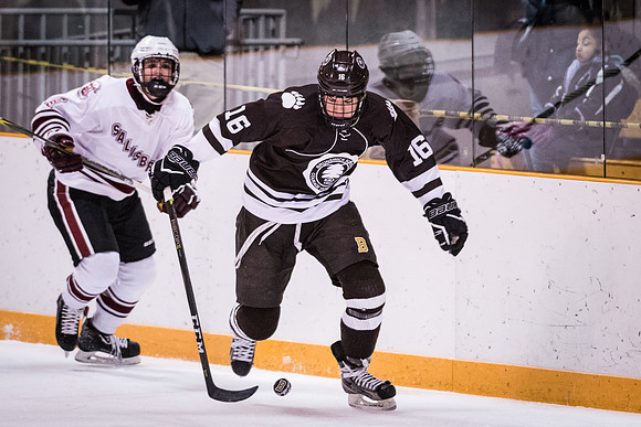 hockey_2018-01-29_wkl_9536