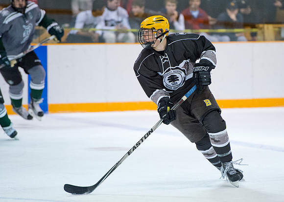 hockey_2016-01-09_dburns_4036