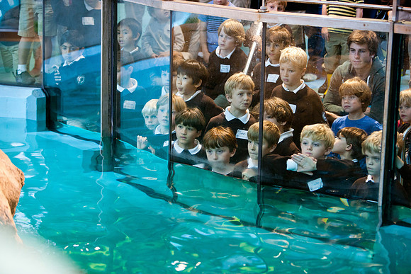 aquarium_ls_mkras_2387