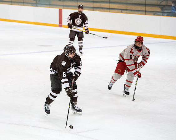 hockey_2022-02-02_dburns1_4340