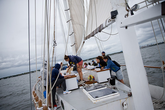 marinebio_soundwater_us_mkras_0246