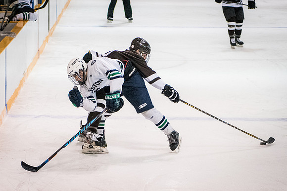hockey_2018-01-27_wkl_8303