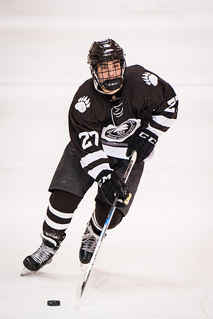 hockey_2018-01-29_wkl_9613