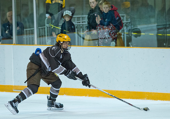 hockey_2016-01-09_dburns_2033