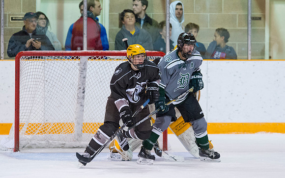 hockey_2016-01-09_dburns_1896