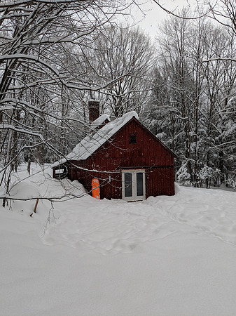 randolphvt1819_trip06_submitted_ddych_0130_073859