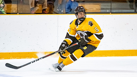hockey_2019-01-12_dburns_4571