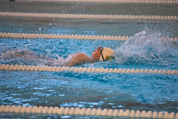 swimming_ms_2022-02-03_gh_0050