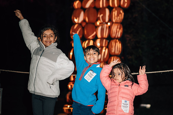 pumpkinblaze17_hp_3576