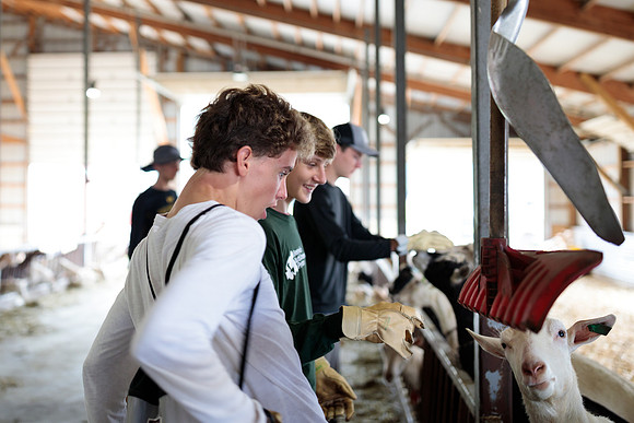 randolphvt1819_trip01_goatfarm_bdf_2136