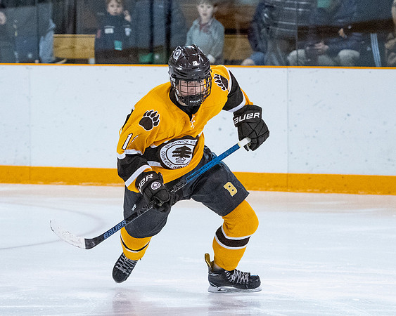 hockey_2019-01-12_dburns_4337