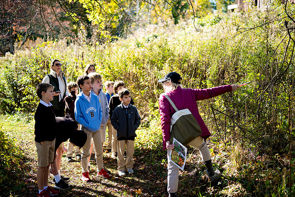 audubon_gr3_ah_0046