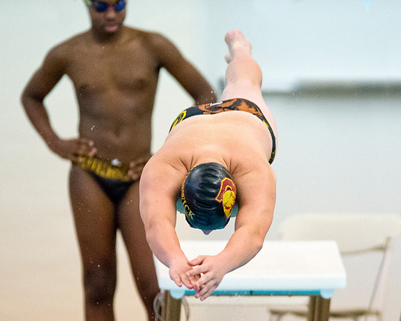 swimming_2016-01-06_dburns_1759