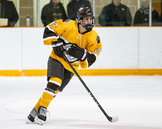 hockey_2019-01-12_dburns_4671