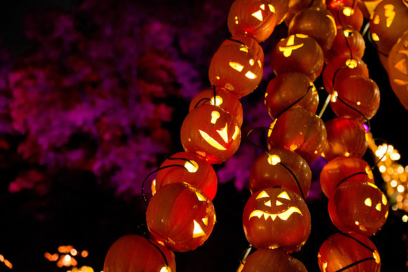 pumpkinblaze18_mkras_0060