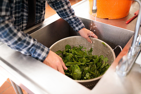 randolphvt2122_trip01_pesto_bdf_4595