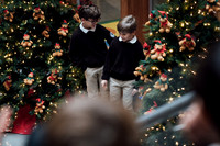 Tree Lighting Assembly, LS