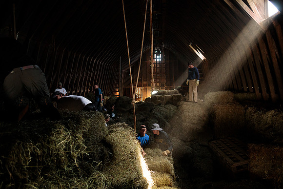 randolphvt1819_trip01_goatfarm_bdf_7305
