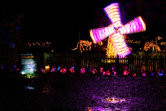 pumpkinblaze18_mkras_0071