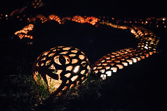 pumpkinblaze17_hp_3385