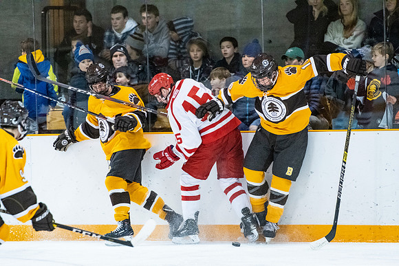 hockey_2019-01-12_dburns_4357